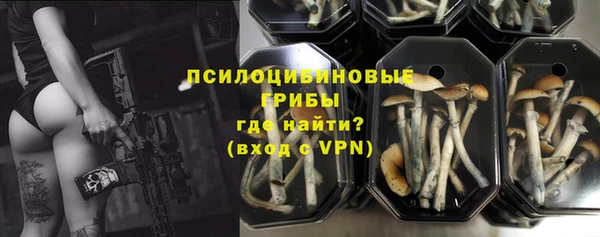 ешки Зеленодольск