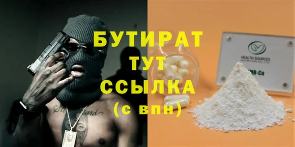 сатива Зерноград