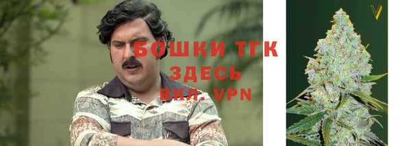 дживик Зеленокумск