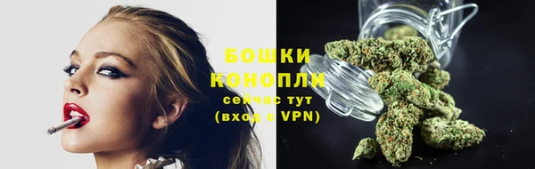 дживик Зеленокумск