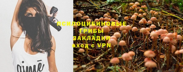 сатива Зерноград
