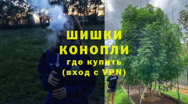 сатива Зерноград
