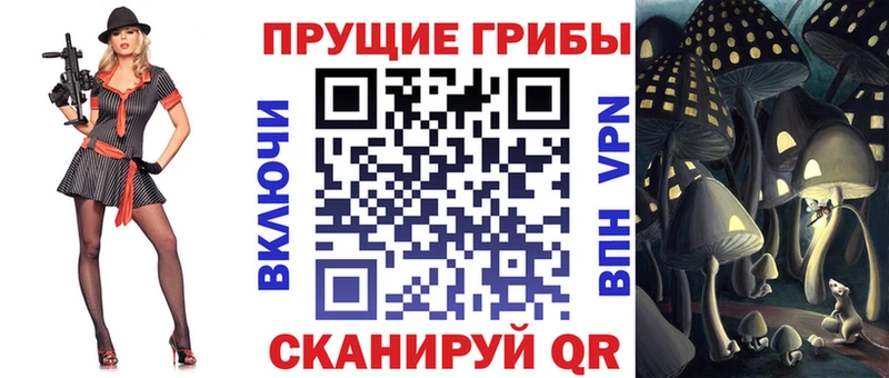 Псилоцибиновые грибы Magic Shrooms  где найти наркотики  нарко площадка формула  Новомосковск 